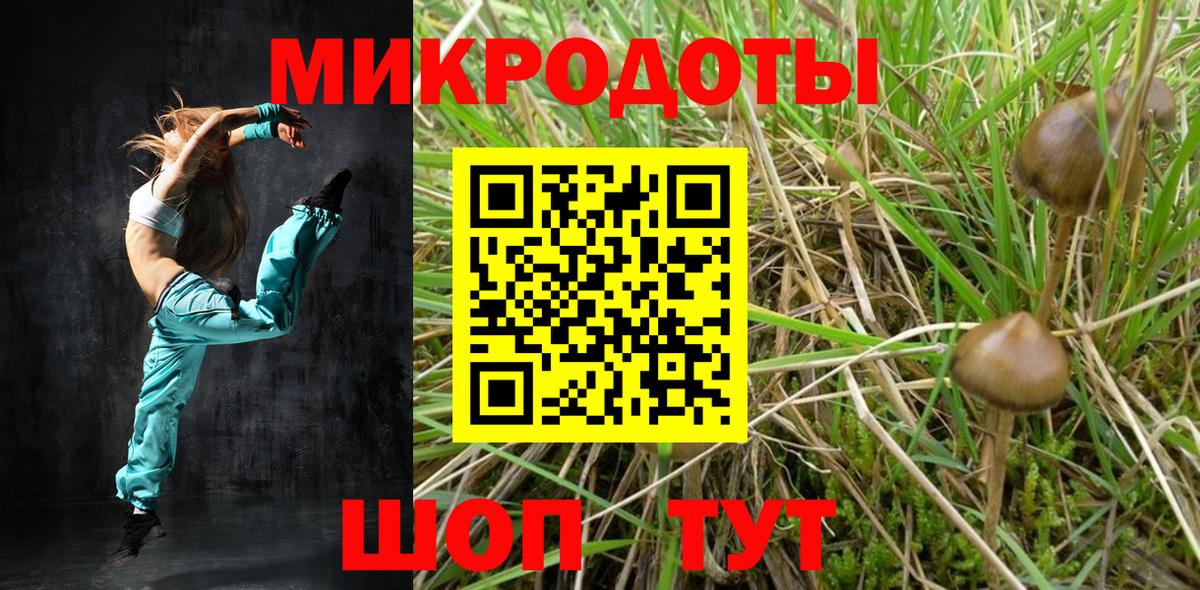 Псилоцибиновые грибы GOLDEN TEACHER Абинск